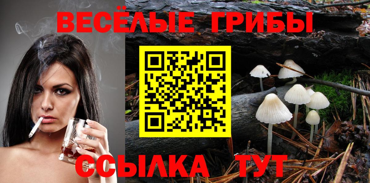 Псилоцибиновые грибы Psilocybine cubensis Майский