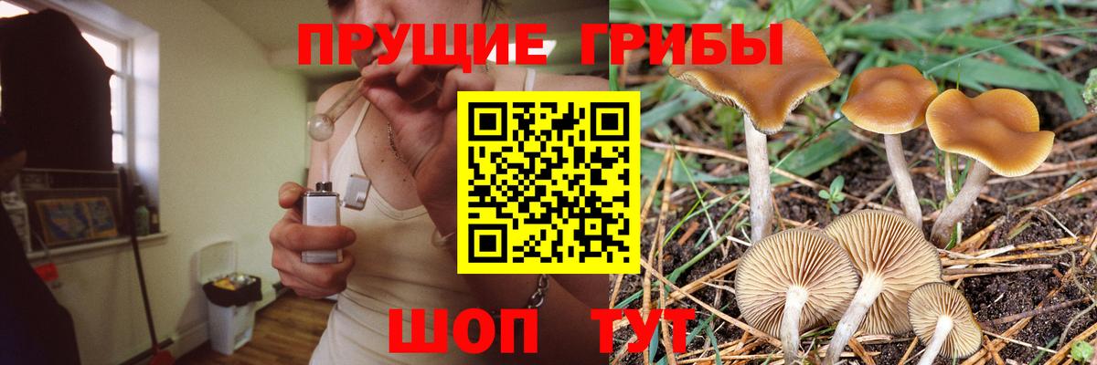 Галлюциногенные грибы мицелий  Псилоцибиновые грибы ЛСД  Майский  Вход с VPN 